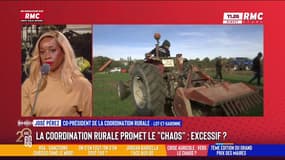 Colère agricole : "On va bloquer les camions", annonce José Perez, co-président de la Coordination rurale