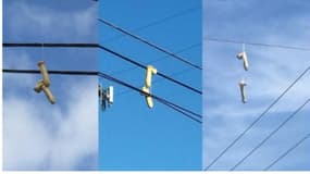 Des sextoys accrochés à un fil électrique dans le ciel de Portland.
