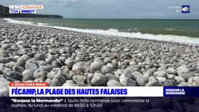 C beau chez nous: Fécamp, la plage des hautes falaises