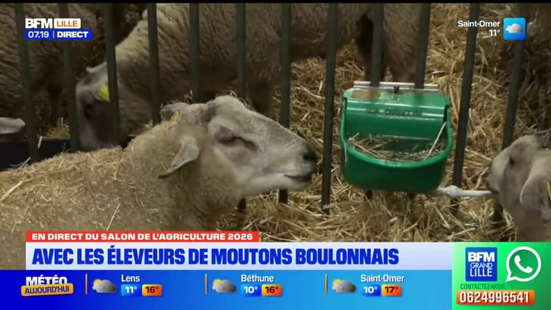 BFM Grand Lille Littoral au Salon de l'Agriculture