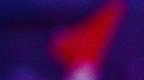 L'élu FN Philippe Vardon vient d'être condamné à six mois de prison ferme pour une rixe ayant eu lieu en 2014, à Fréjus. 