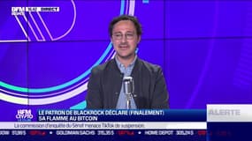 BFM Crypto, le Club: Le patron de Blackrock déclare (finalement) sa flamme au Bitcoin - 06/07