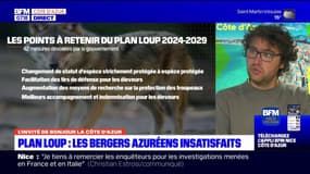 Plan loup: un éleveur azuréen fait part de son "énorme déception"