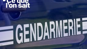 Dix mois après, le reste du corps de la victime a été découvert et l'auteur présumé du meurtre a également été identifié (image d'illustration)