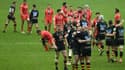 La joie des joueurs du club anglais des Wasps, après leur victoire à domicile, 30-22 face à Toulouse, lors de la 3e journée de la Coupe d'Europe, le 15 janvier 2022 à Coventry