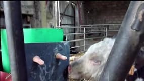 Salon de l'agriculture: "Les agriculteurs doivent reprendre leur autonomie"