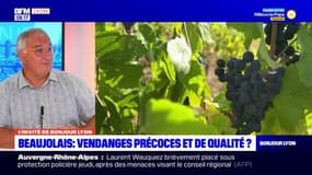 Beaujolais: des vendanges de plus en plus précoces et de qualité?