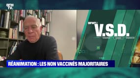 Emmanuel Macron a-t-il remobilisé les anti-vax ? - 08/01