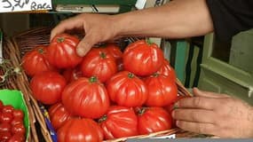 Tomate cœur de bœuf, méfiez-vous des imitations