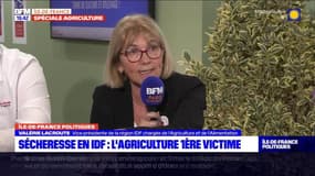 Quel avenir pour l'agriculture en Île-de-France ?