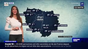 Météo Paris-Île-de-France du 13 janvier: un temps maussade en matinée