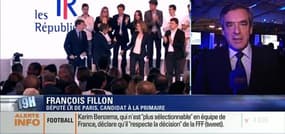 Régionales: "La France a besoin de réformes radicales, mais pas ceux que propose l'extrême droite", François Fillon