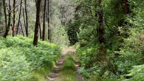 Le corps d'Elisa Pilarski a été retrouvé dans une forêt dans l'Aisne le 16 novembre 2019