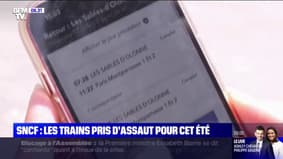 SNCF: les trains pris d'assaut pour cet été, 8 millions de billets ont déjà été vendus