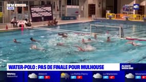 Mulhouse: les joueuses de water-polo s'inclinent en Ligue des champions