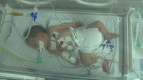 Shayma est née il y a cinq jours, par césarienne, à Gaza.