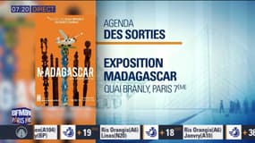 Exposition Madagascar au Quai Branly à Paris