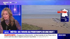 Météo: la France passe de températures hivernales à des températures printanières en 24 heures