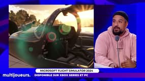 Microsoft Flight Simulator 2024: la bluffante simulation de vol