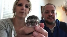 États-Unis: un chaton naît avec deux visages, mais ne survit pas 