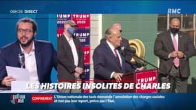 Quand les avocats de Donald Trump tiennent une conférence de presse ... sur le parking d'une jardinerie