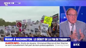 Patrick Martin-Genier, professeur à Sciences Po, estime que les manifestations contre Donald Trump aux États-Unis "sont symboliques"