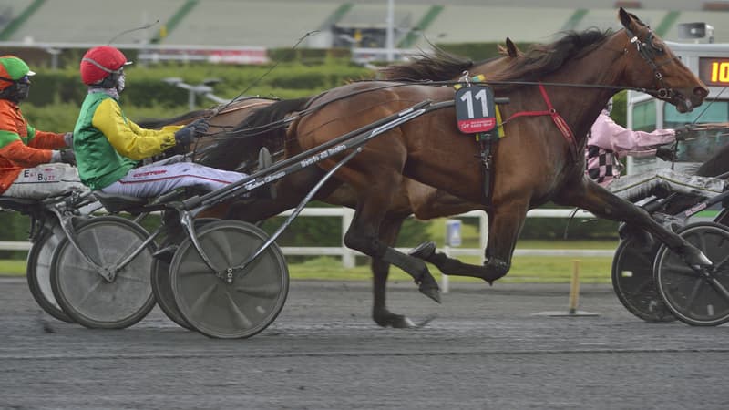 Davidson du Pont triomphe dans le Prix de Belgique