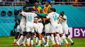 La joie des Sénégalais après un but contre l'Equateur au Mondial 2022