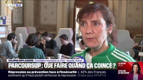 Parcoursup: les différents recours possibles si l’on n’obtient aucune proposition