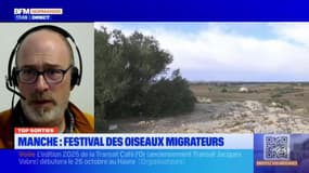 Top Sorties du vendredi 14 février - Manche : Festival des oiseaux migrateurs