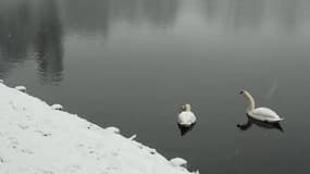 Ville-d'Avray sous la neige - Témoins BFMTV