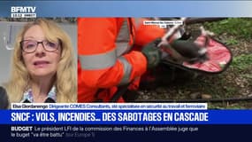 Sabotages à la SNCF: "C'est impossible de surveiller en permanence", assure Elsa Giodanengo, spécialiste en sécurité ferroviaire