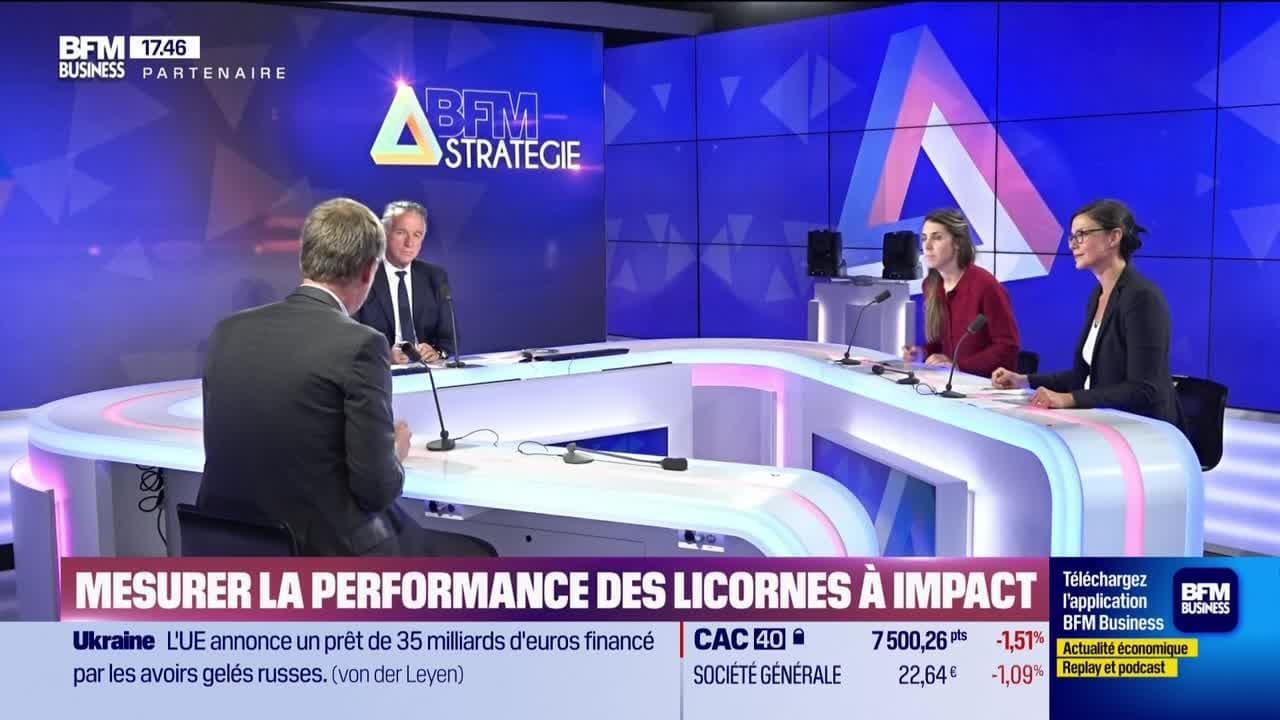 BFM Stratégie (Cours n°299): mesurer la performance des licornes à ...