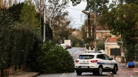 Un arbre couché sur la route suite à la tempête Domingos, à Arcachon, en Gironde, le 5 novembre 2023