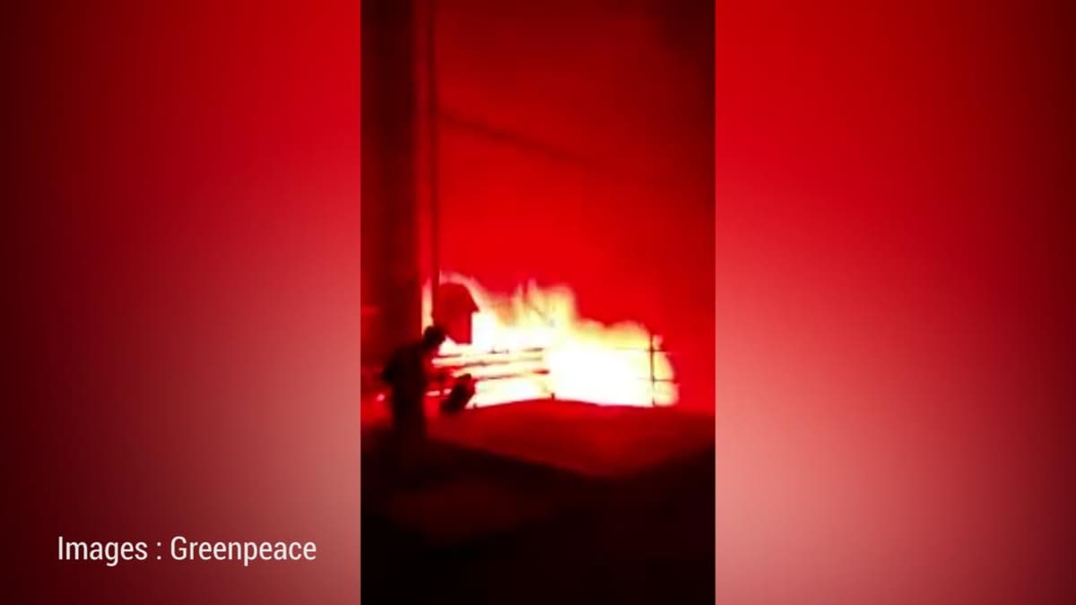 placeholder video