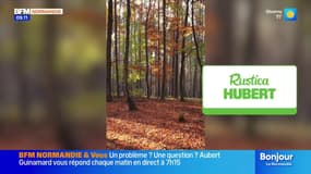 La météo (cryptée) de Colas du mardi 4 novembre 2025