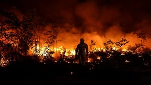 A firefighter at work in Louchats, Gironde, on July 17, 2022. 