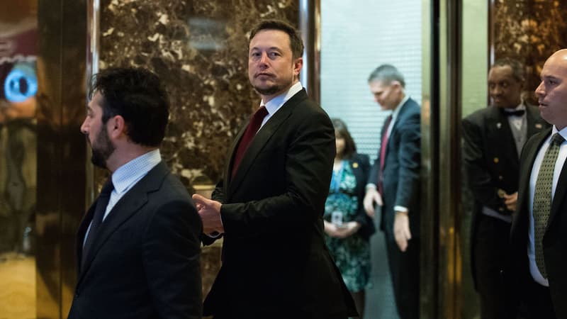 Elon Musk reste-t-il auprès de Donald Trump pour s'opposer à sa politique ou par intérêt? La question divise les Américains sur les réseaux sociaux.