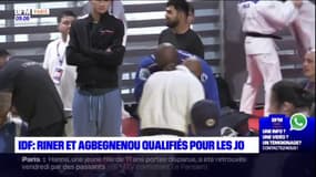 Île-de-France: Teddy Riner et Clarisse Agbégnénou qualifiés pour les JO