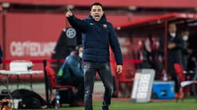 Xavi