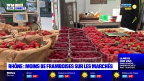 Rhône : moins de framboises sur les marchés