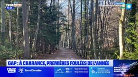 Gap: de nombreux joggeurs au domaine de Charance poour le premier ...