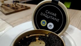 Une boîte de caviar d'Aquitaine, présentée sur le stand de l'Union européenne lors de la 61ème édition du Salon international de l'agriculture (SIA), le 28 février 2025 à Paris. 