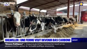 Bas-Rhin: une ferme veut devenir bas carbone à Uhlwiller