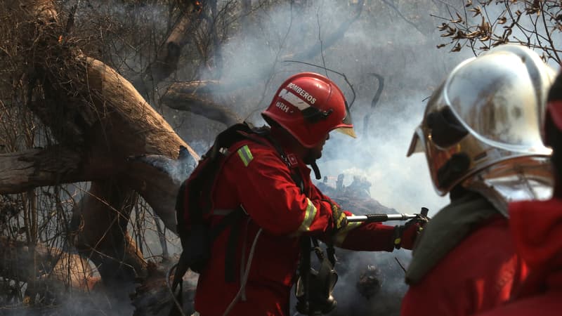 En Bolivie, les incendies dans les zones forestières ont triplé en deux semaines