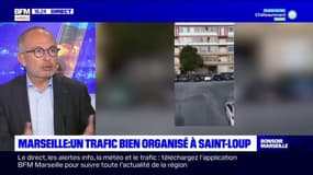 Trafic de drogue à Marseille: le maire des 9e et 10e arrondissement plaide pour un "changement de doctrine"