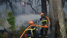 Un incendie a dévoré 800 hectares de forêt autour de Saint-Cannat, dans les Bouches du Rhône, le 15 juillet 2017 (image d'illustration)