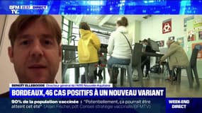 Bordeaux: les 46 cas positifs à un variant rare du Covid-19 "font partie de deux chaînes de contamination", selon l'ARS