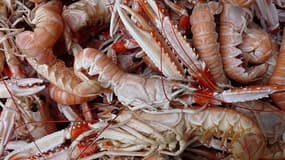 200 kilos de produits de la mer périmés ont été saisis à Gennevilliers.