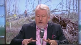 Tempête Eleanor: pourquoi tant d'arbres à terre dans nos villes?